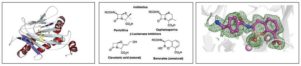 Figures illustrating Chris Schofield's research