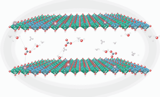 green rust polaron hops unidirectional under 1mb