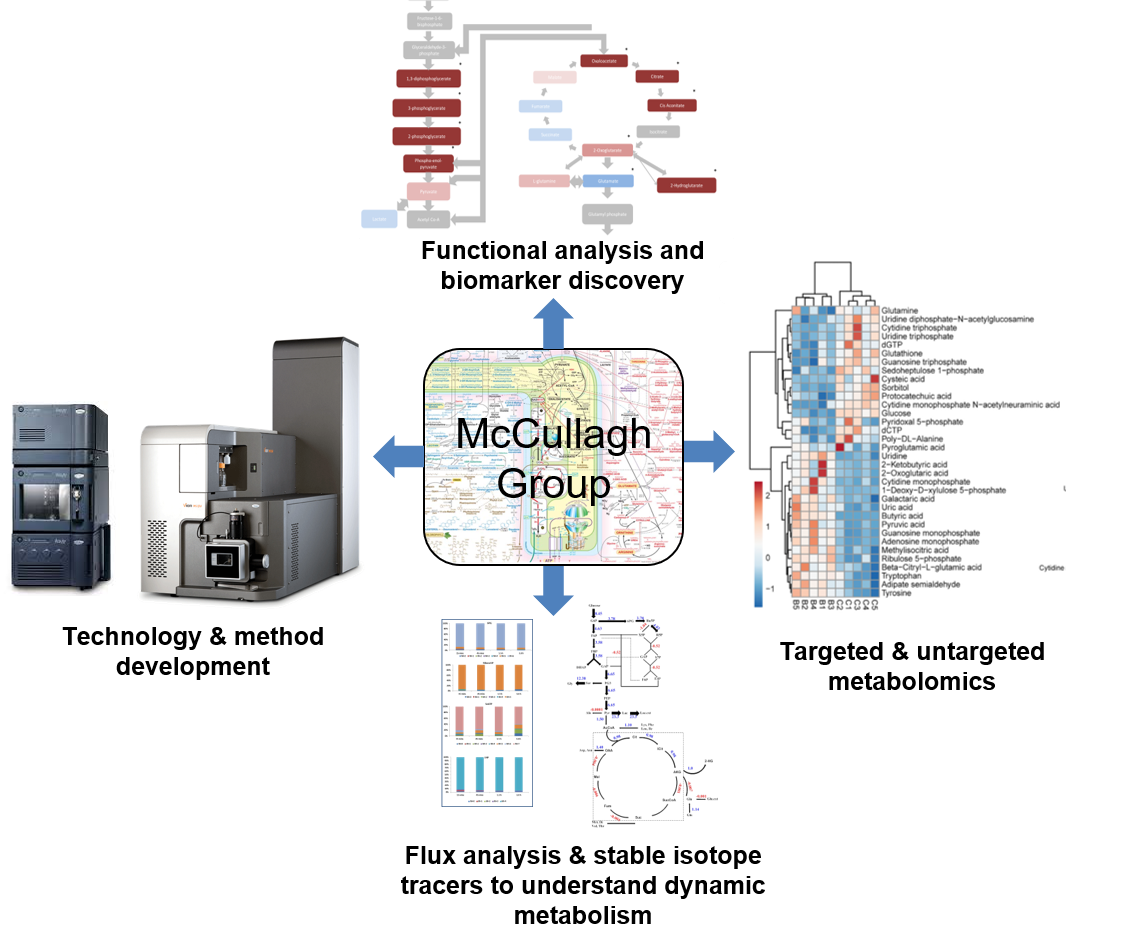 james mccullagh diagram website