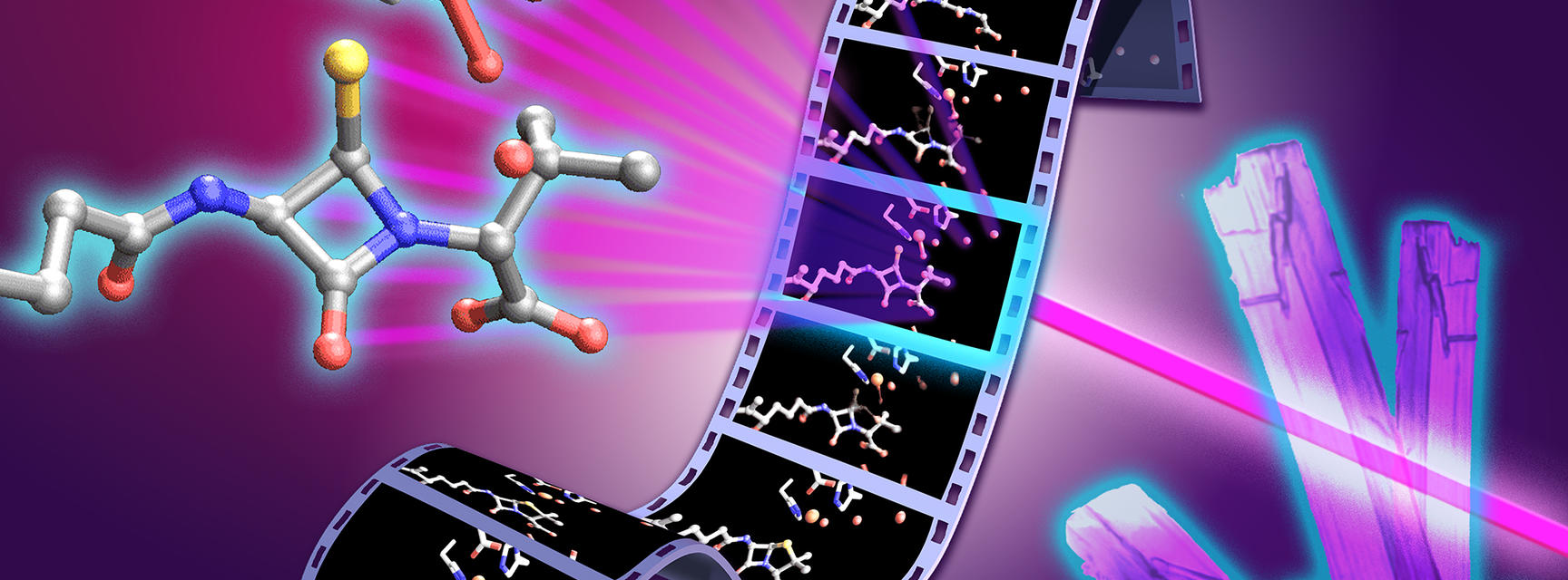 penicillin biosynthesis image