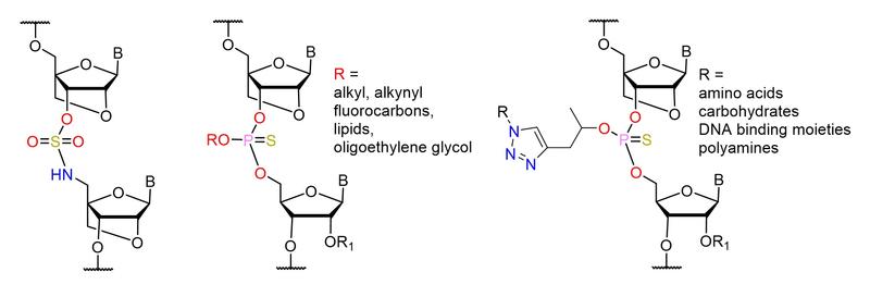 artificial dna backbones