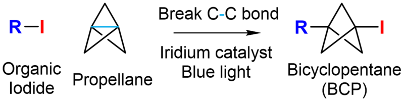 BCP formation
