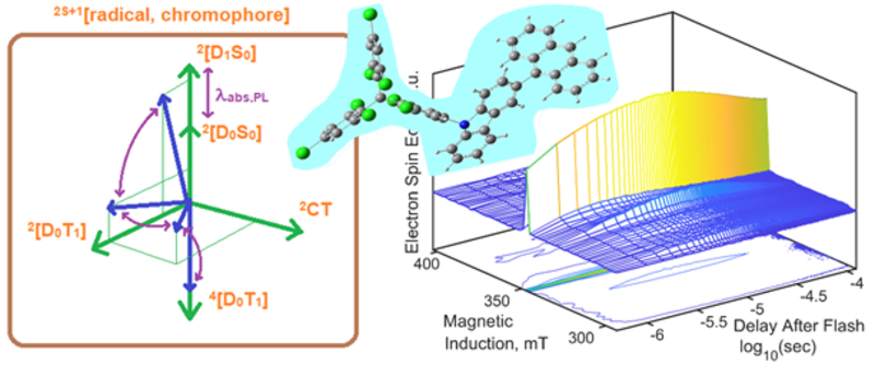 Cartoon representations of the photogeneration sequence of the excited state (a trip-quartet state 4[D0T1]), radical-chromophore molecule and a two-dimensional measurement of electron spin echoes at 20 K, after laser flash.