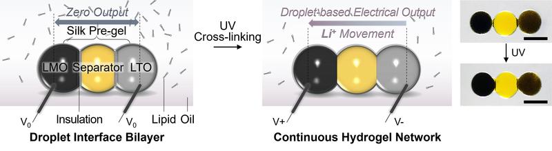 The development of tiny, soft and biocompatible batteries to power minimally invasive biomedical devices is of critical importance. Here the authors present a microscale soft rechargeable lithium-ion battery based on the surfactant-supported assembly of s