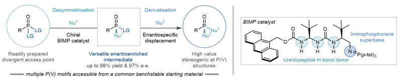 P(V) fig1 Summary of the strategy developed by the Oxford team, showing the desymmetrisation and derivatisation steps that lead to a wide range of enantioenriched stereogenic P(V) structures.