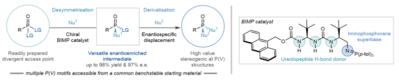 Summary of the strategy developed by the Oxford team, showing the desymmetrisation and derivatisation steps that lead to a wide range of enantioenriched stereogenic P(V) structures.