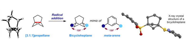 A new bioisostere for meta-substituted arenes: radical addition