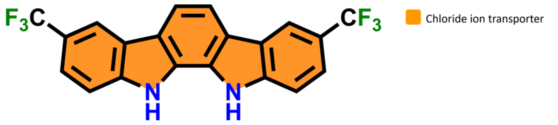 Molecular structure of the chloride ion transporter, with its central binding region highlighted in orange.