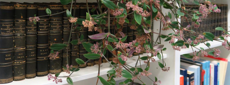 Flowers and crystallography books