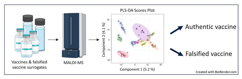 Graphical abstract showing vaccines and falsified vaccine surrogates being analysed with a MALDI-MS machine to get a PLS-DA Scores Plot, allowing researchers to distinguish between authentic vaccines and falsified vaccines.
