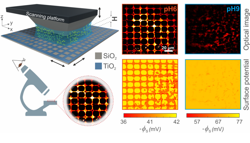 Optical imaging of electrical charge at the solid-liquid interface Optical imaging of electrical charge at the solid-liquid interface