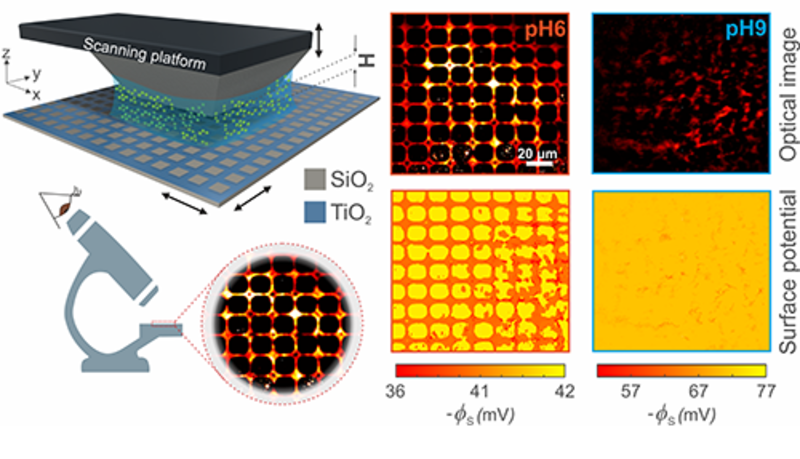 Optical imaging of electrical charge at the solid-liquid interface
