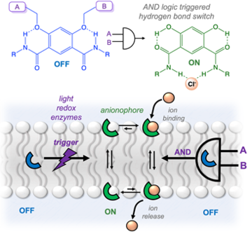 AND logic triggered ionophore, where the presence of two stimuli switches on transmembrane ion transport.