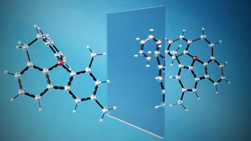 Stereogenic oxonium An example of the chiral oxonium ions that the team synthesised, demonstrating its non-superimposability on its mirror image (picture credit: Mihai Popescu)