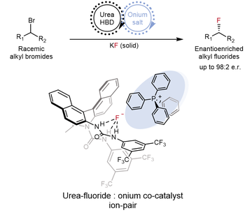 Enantioconvergent synthesis of alkyl fluorides with KF under synergistic phase transfer catalysis via the formation of a urea-fluoride-onium ion-pair (pictured)