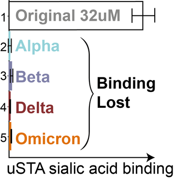 Binding lost in SARS-CoV-2 variants