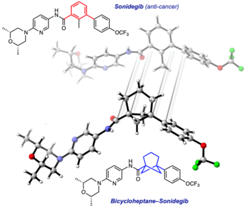 A new bioisostere for meta-substituted arenes: Sonidegibto bicycloheptane-Sonidegib