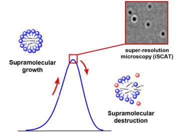 The concentration of C oscillates in time on the scale of hours or days, responds to the amount of oxidant supplied (H2O2) and shows repeated micelle growth and decay, as visualised by chromatographic analysis and scattering microscopy (iSCAT).