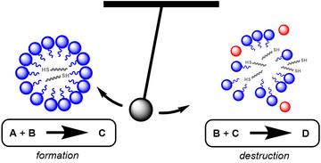 The reaction swings over time between micelle formation and destruction processes.