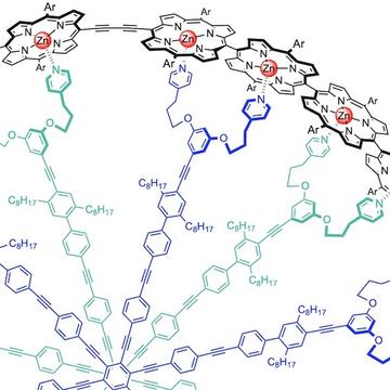 porphyrin ring 