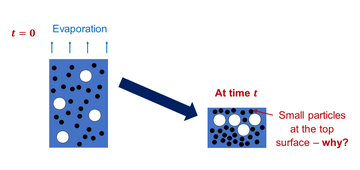 Accumulation of small particles at the top surface of a drying film containing two sizes of particle.