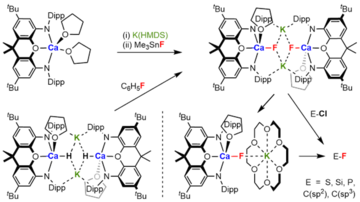 Graphical abstract for: Enabling nucleophilic reactivity in molecular calcium fluoride complexes