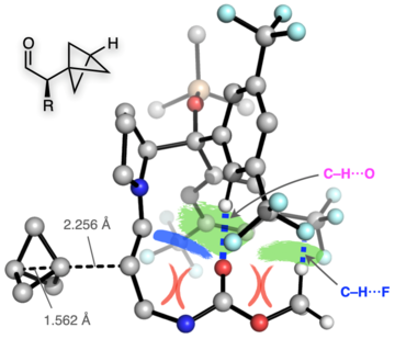 asymmetric bicyclopentylation news image